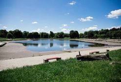 Warszawa. Przebudują stołeczne parki. Miasto szuka wykonawców inwestycji