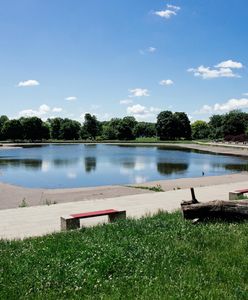 Warszawa. Przebudują stołeczne parki. Miasto szuka wykonawców inwestycji