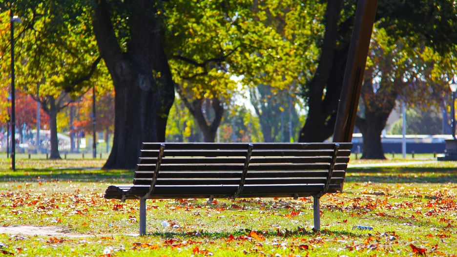 Park miejski, ławka, miasto, teren zielony, odpoczynek, rekreacj