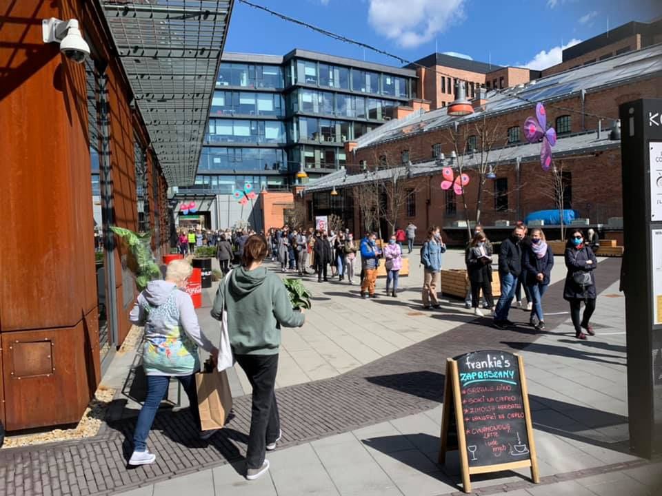 Warszawa. Festiwal Roślin w Koneserze [ZDJĘCIA]