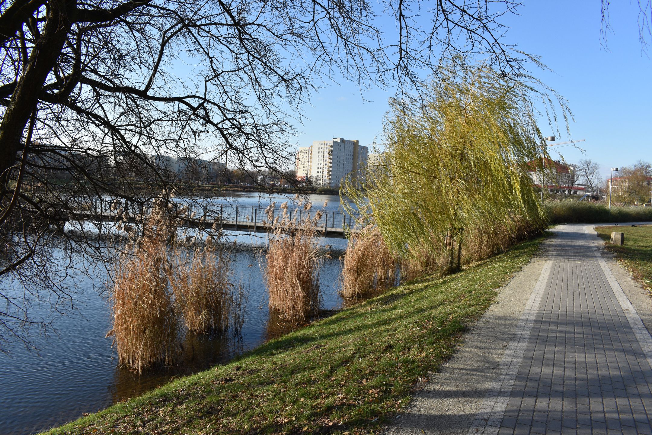 Nikon D3400 - test lustrzanki dla każdego 46
