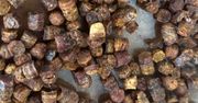 Wielu zapomina o tym drogocennym produkcie z ula. Ma więcej wartości niż miód