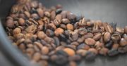 Oszukane kawy. Oto czym zastępują ziarna