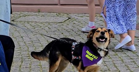 Spacer Adopciaka w Płocku – wyjątkowe wydarzenie już 5 października na Starym Rynku