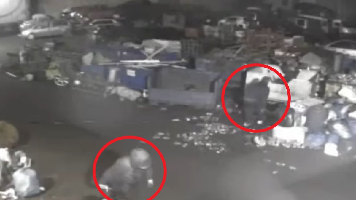 Firma na własną rękę szuka złodziei