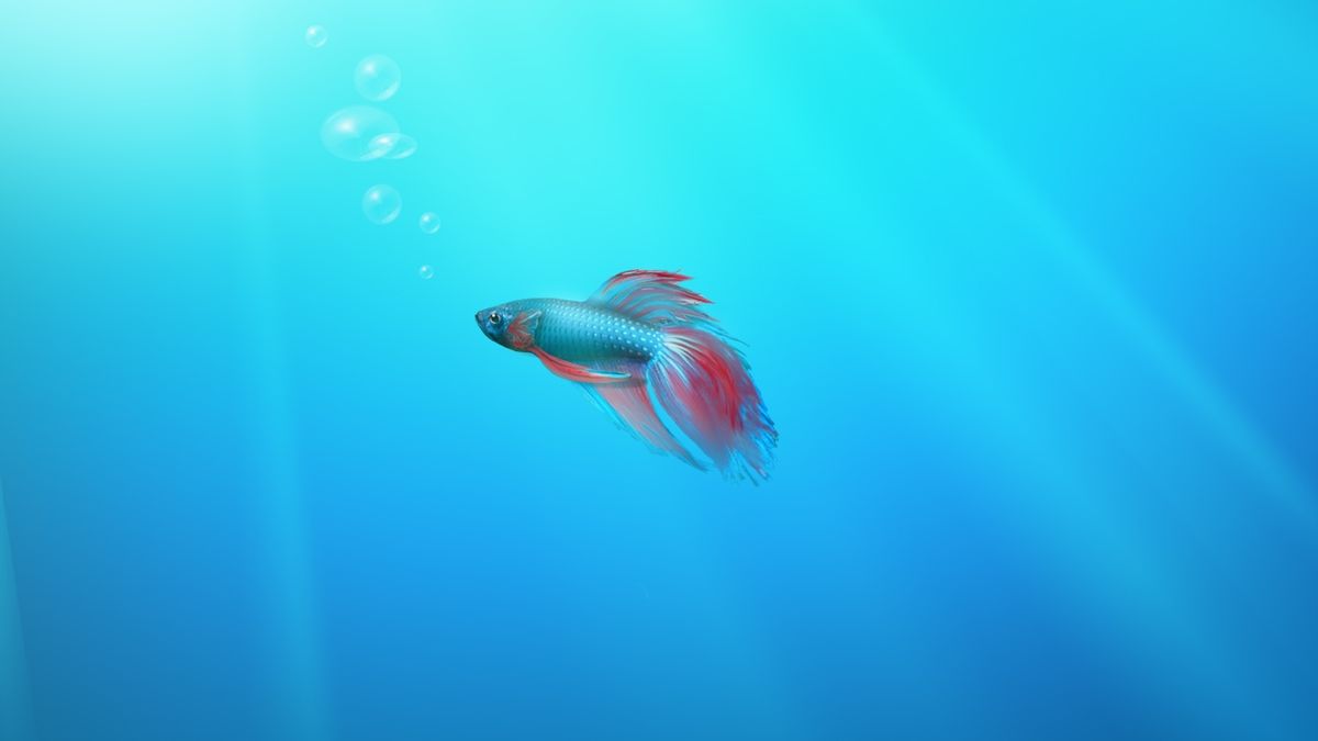 Narodziny Windows 7. Jak powstawał odkupiciel grzechów Visty (fot. Microsoft Technet)