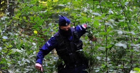 83-latka poszła na grzyby. Przeżyła horror