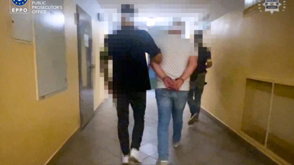 Zatrzymana ws. wyłudzeń