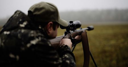 Pieniądze ponad prawo? Kulisy polowań komercyjnych w Polsce