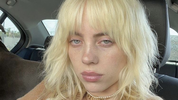 Billie Eilish o oglądaniu pornografii 