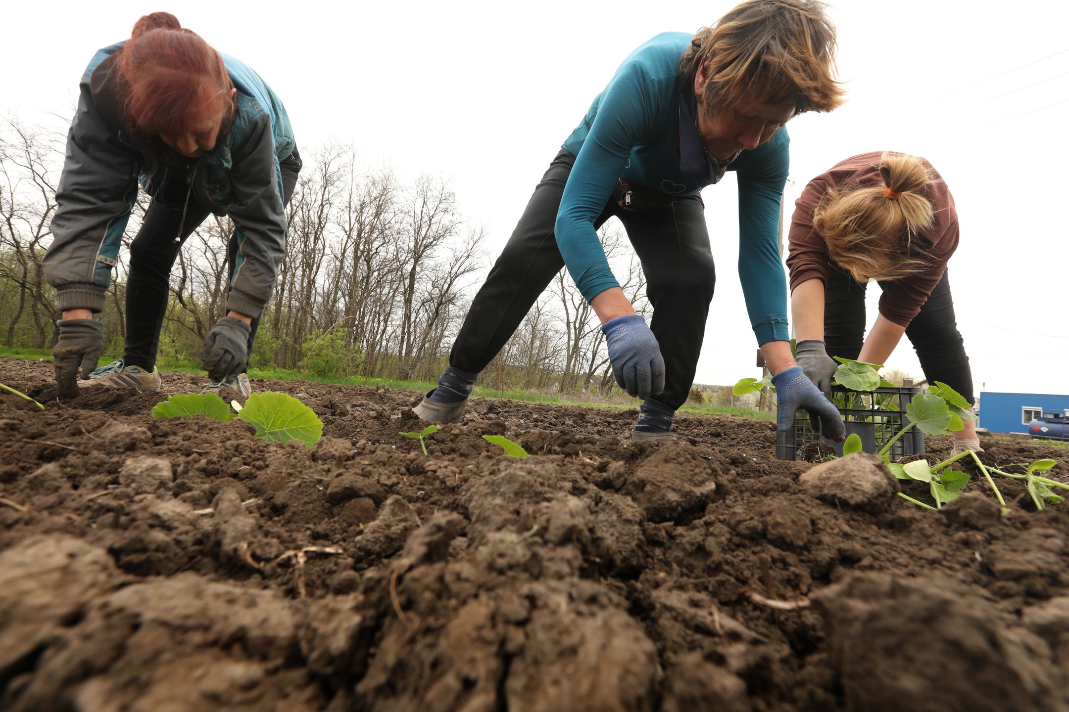 Dnipro UkraineApril 29, 2022Farmers are out planting the fields around Dnipro, Ukraine on April 29, 2022. Many of the workers are women, as some men signed up for the military. There is a big campaign in Ukraine to get the crops planted to produce food for the troops as well as the population. (Carolyn Cole / Los Angeles Times via Getty Images)