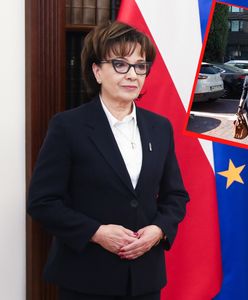 Witek uciekała. W tle pytania o "lex Tusk"