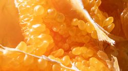 Owoc zastąpi jesienne suplementy. Spowalnia starzenie, poprawia odporność