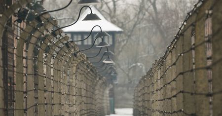 Pierwsza kobieta, która uciekła z Auschwitz. Najgorsze było spotkanie z Mengele