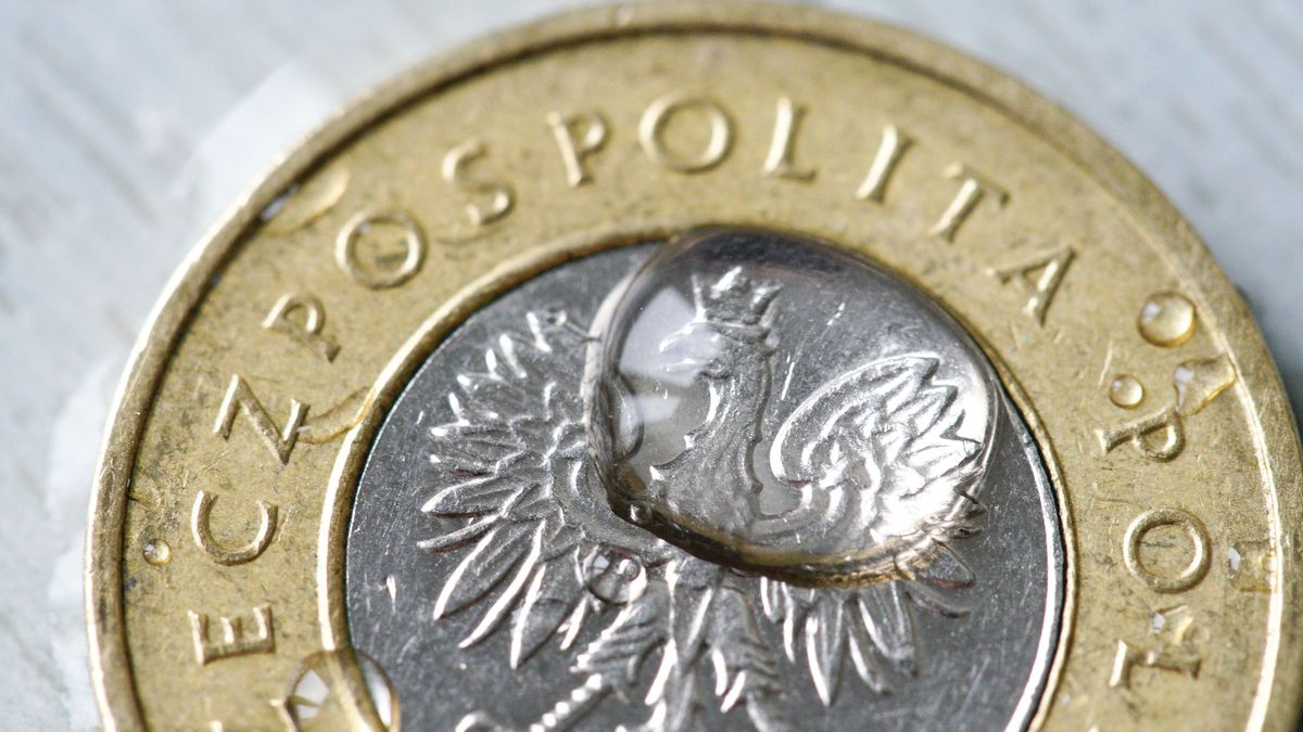 Według analityków PIE osłabienie naszej waluty w niewielkim stopniu pomaga gospodarce