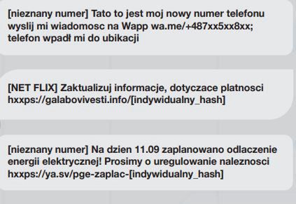 Przykładowe próby wyłudzenia danych 