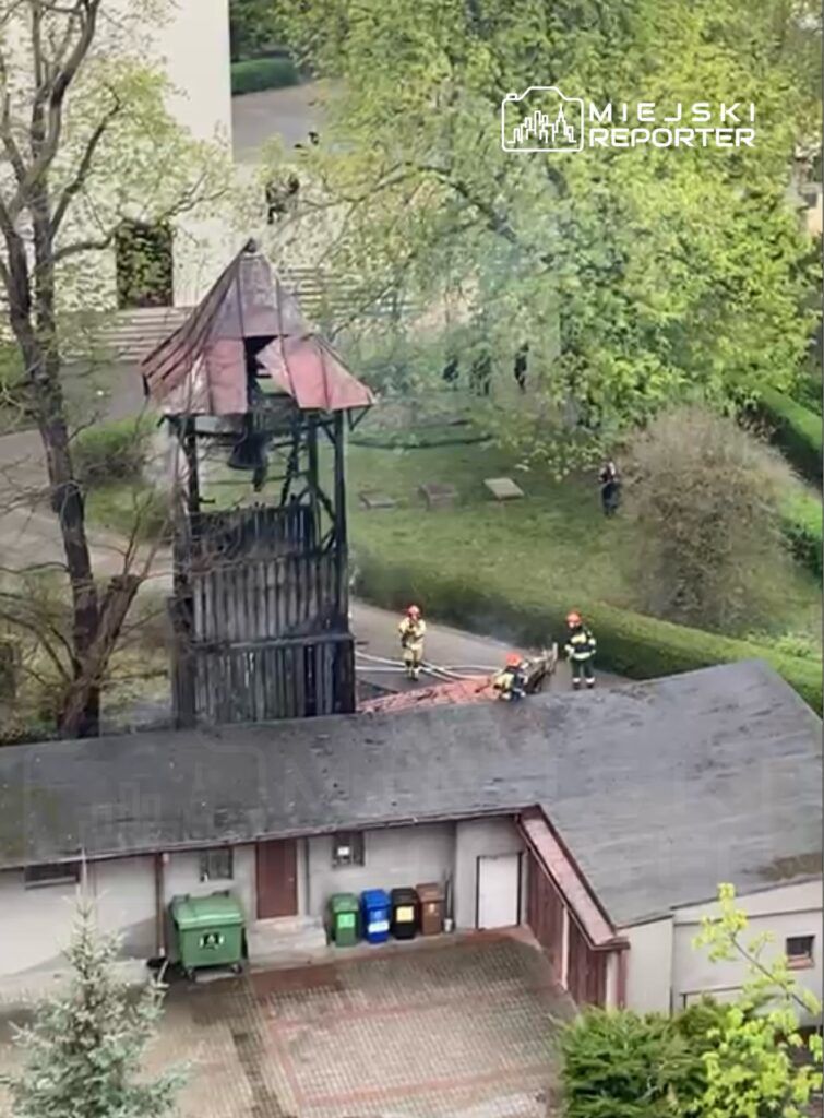 Fot. Czytelniczka Miejskiego Reportera
