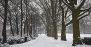 Na polach zalega śnieg, drogi mogą być śliskie. Noc przyniesie kolejne mgły