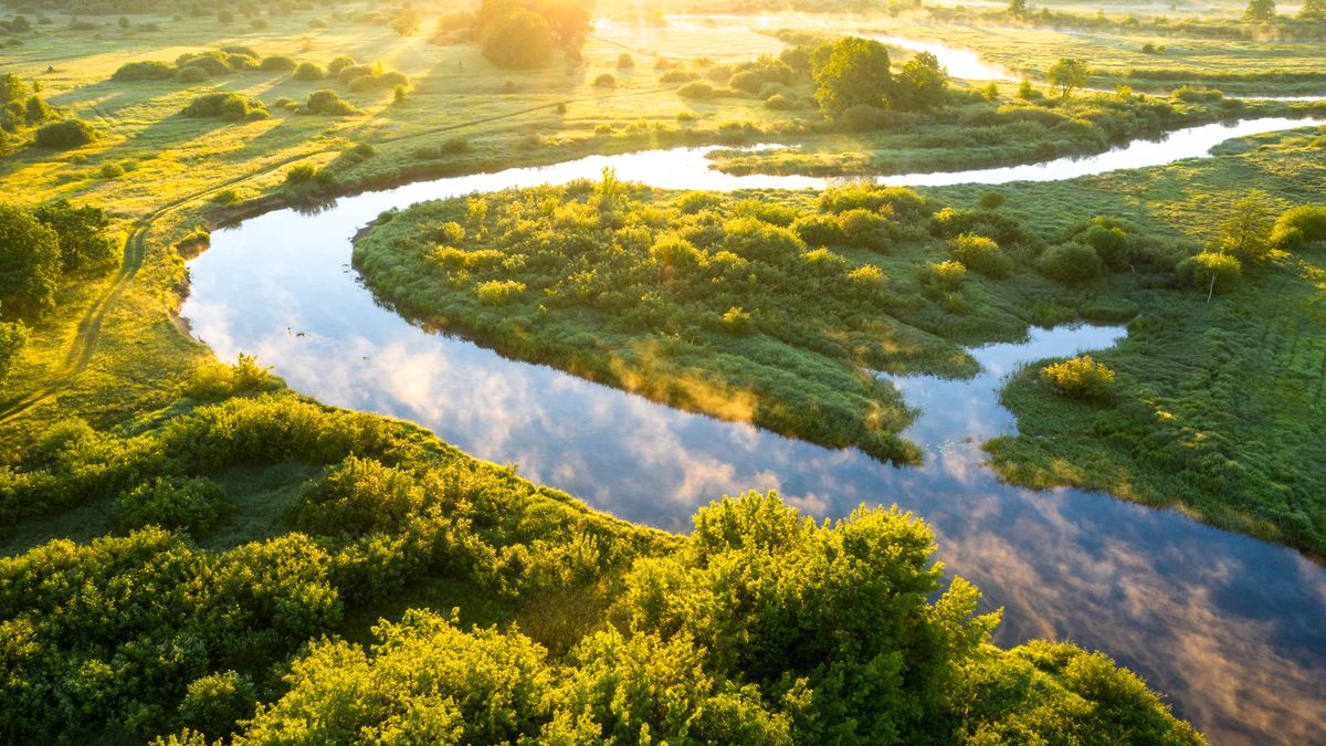 landscape, aerial view, river, sunlight, forest, field, water, covered, fog, background, trees, nature, yellow, morning, scenic, aerial, foggy, sun, sunrise, green, summer, natural, beautiful, above, view, mist, outdoor, light, misty, tree, sky, beauty, sunset, rays, travel, color