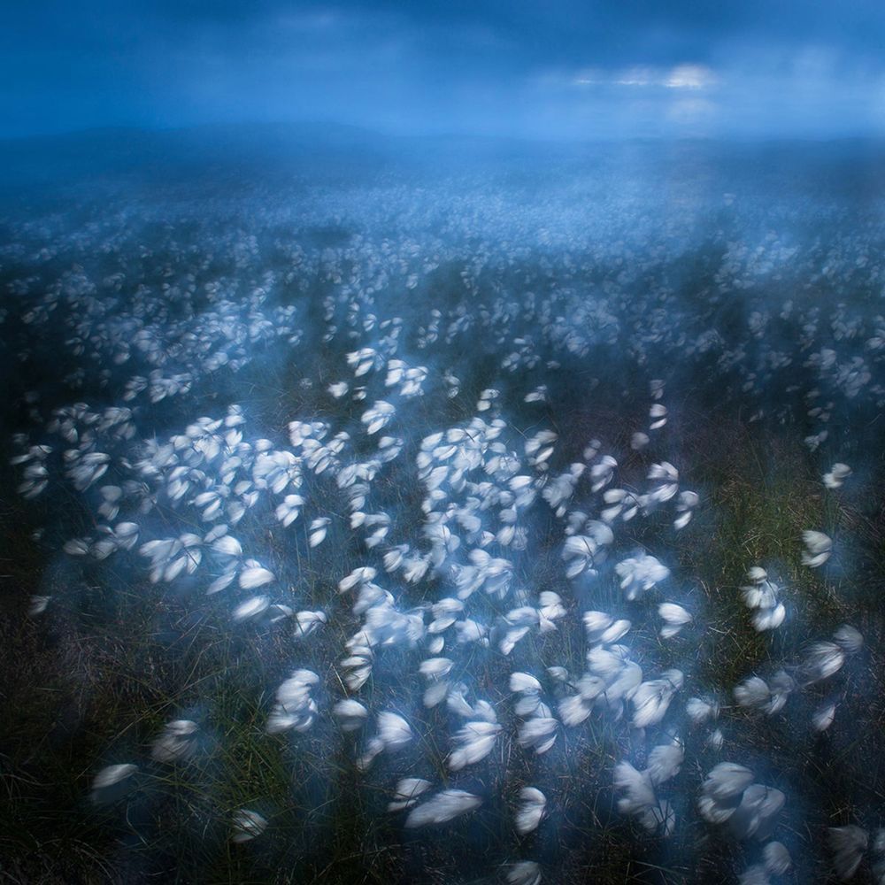 Zobaczcie najlepsze zdjęcia konkursu GDT European Wildlife Photographer of the Year 2016 3