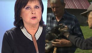 Ciapunio oskarżony o zjedzenie 100 główek kapusty. O co tak naprawdę chodzi w tej sprawie?