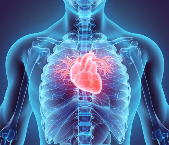 Współczesne wyzwania w transplantacji serca z okazji 50 lat transplantologii