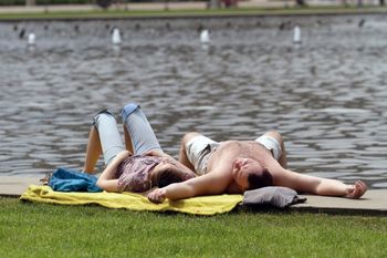 Mieszkanie "na kocią łapę" pod lupą. Właściciele powinni uważać