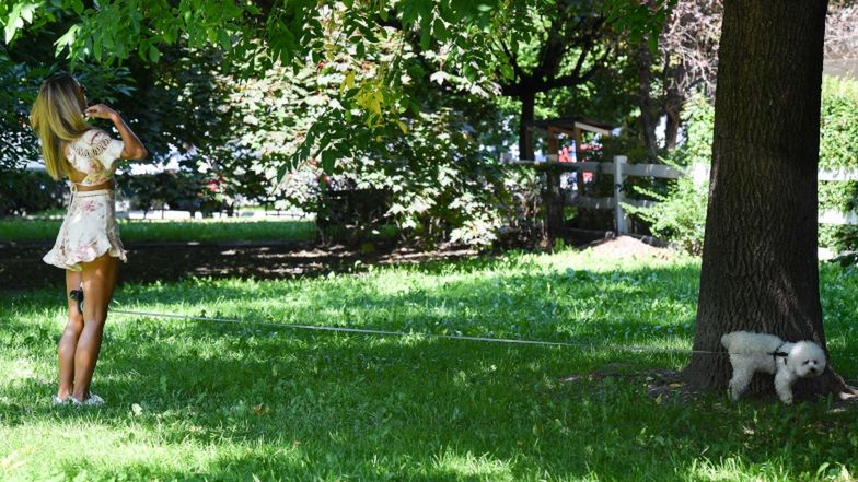 Ewa Chodakowska na obiedzie z mężem i pieskiem