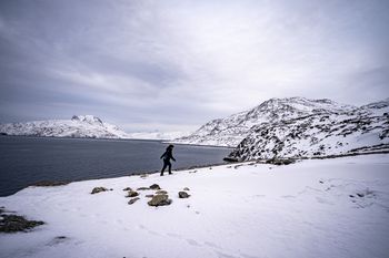 Neil Young i wyjątkowy gest. Chodzi o mieszkańców Grenlandii