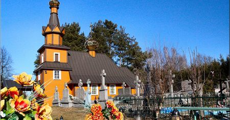 Tam, gdzie zaczyna się Puszcza Białowieska