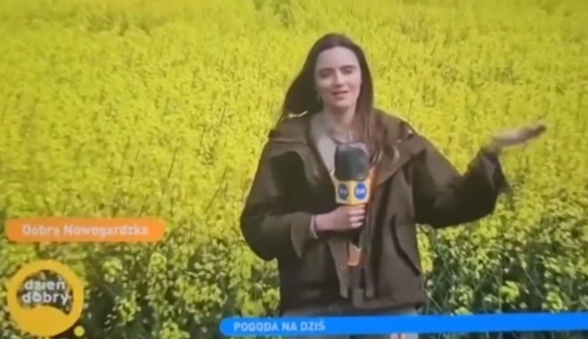 Internauci śmieją się z wpadki w "Dzień dobry TVN". Pomijają ważną rzecz