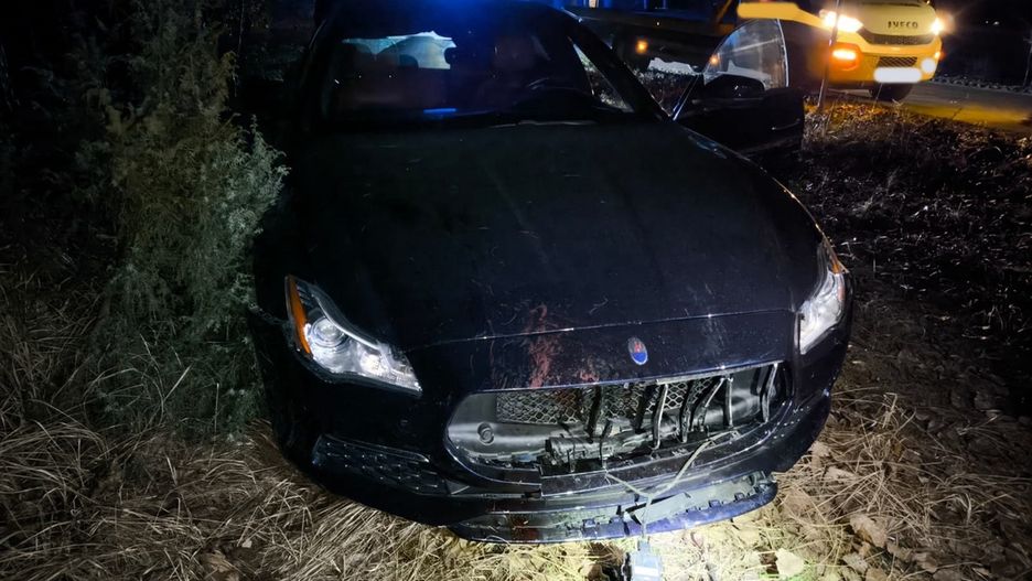 Dziki wtargnęły tuż przed maskę