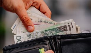 Nietypowa oferta pracy. Szukają ludzi do zbierania pieczarek