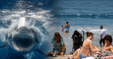 Incydent na Long Island. Na plaży natychmiast ogłosili zakaz kąpieli