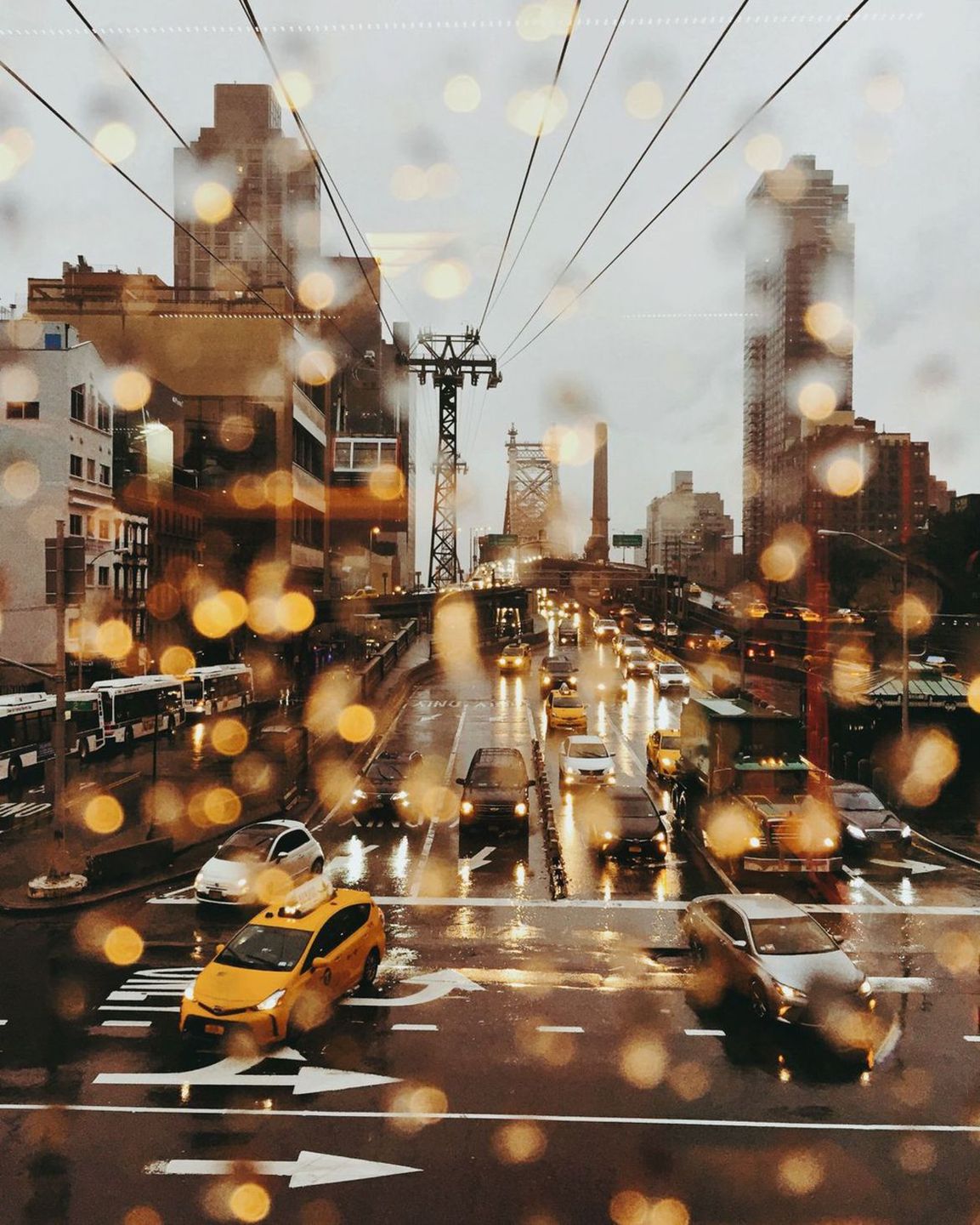 Adam Żądło w finale Smithsonian Photo Contest 2017 56