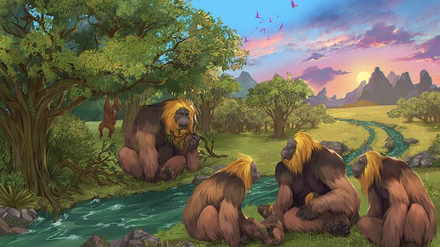 Gigantopithecus blacki to największy znany naczelny