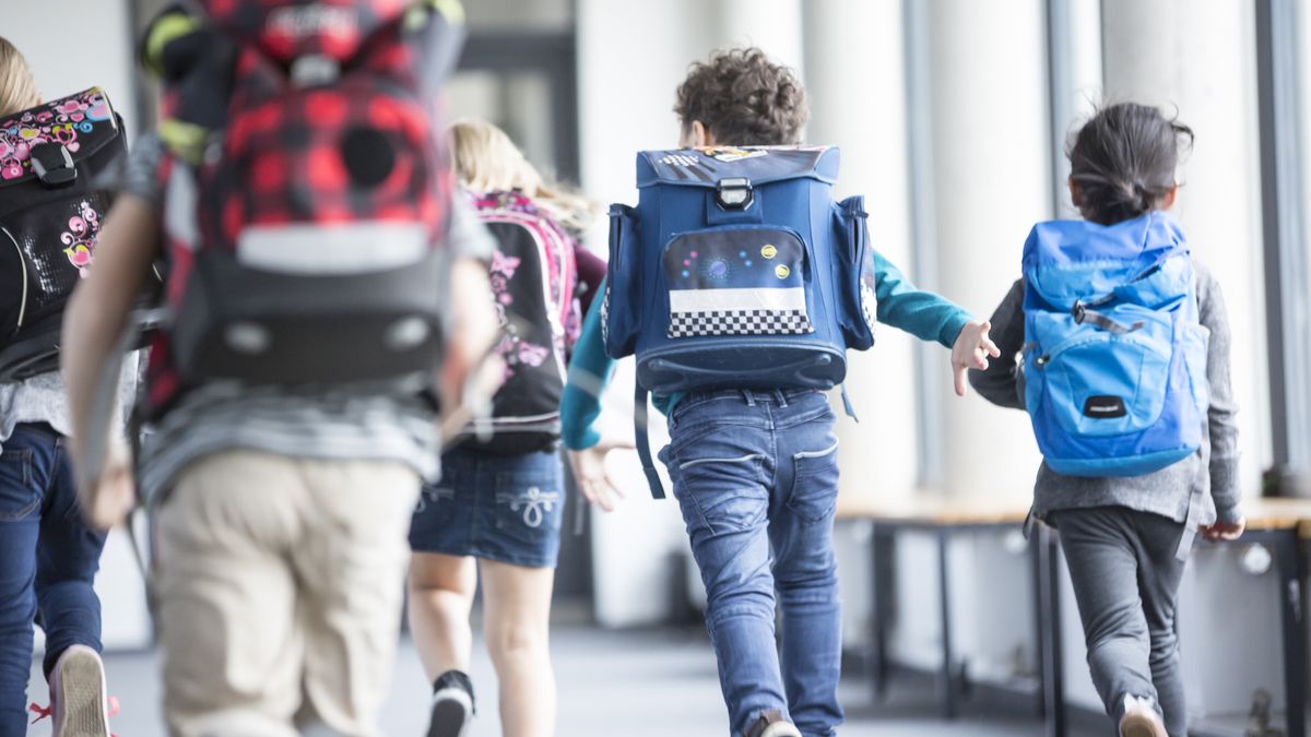 Rear view of pupils rushing down school corridor
Westend61
asian ethnicity, boy, casual, caucasian, children, classmates, end, energy, exuberance, fast, friends, girl, hurry, leisure, multicultural, primary school, pupil, school, together, vacation