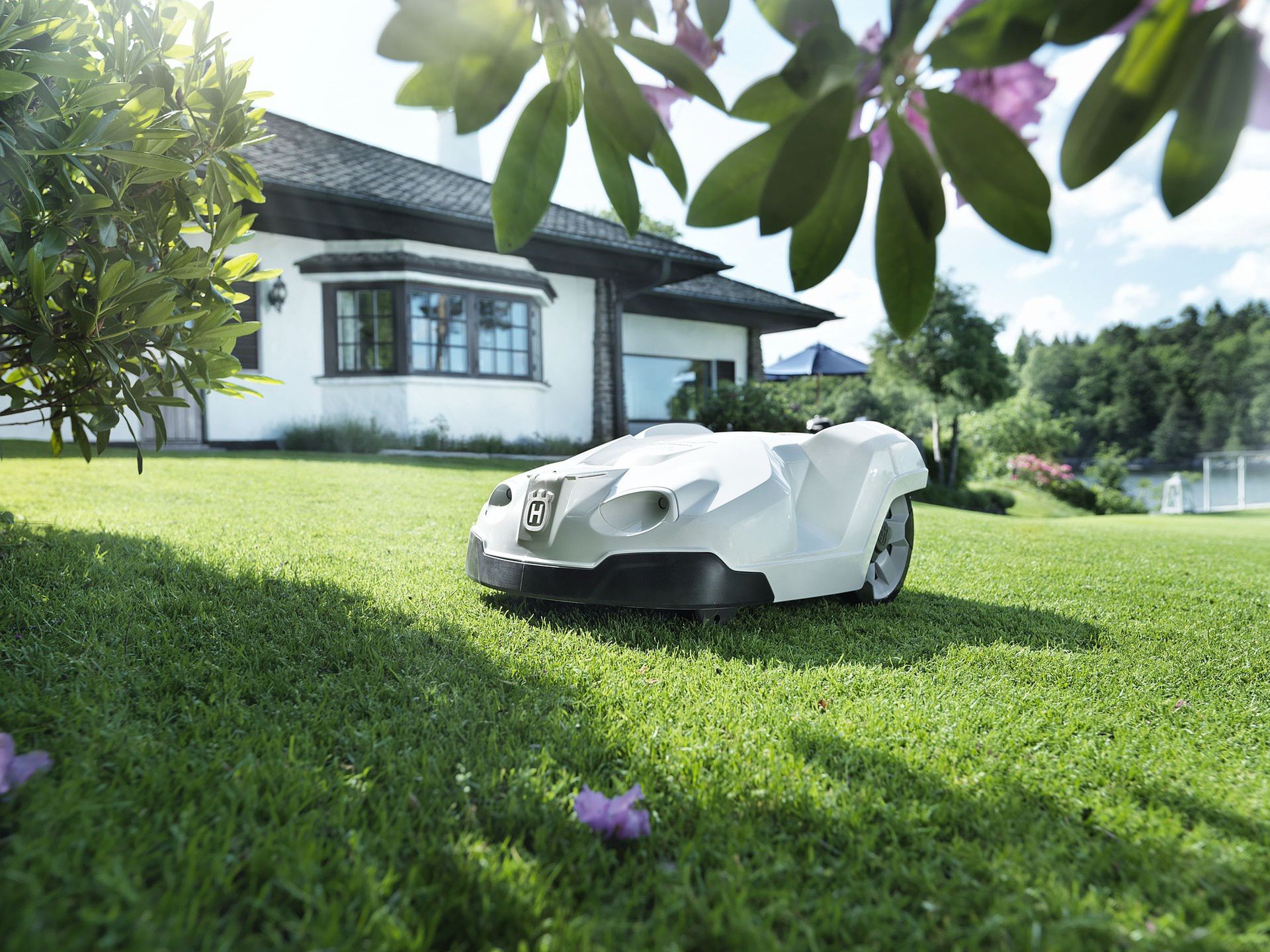Robot koszący uprzyjemni prace w ogrodzie