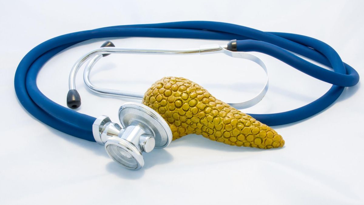 Glukoneogeneza jest procesem obejmującym istotne mechanizmy metaboliczne