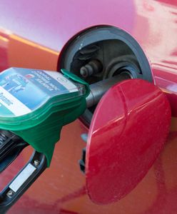 Niemcy będą masowo tankować w Polsce? Tamtejsze stacje boją się takiego scenariusza