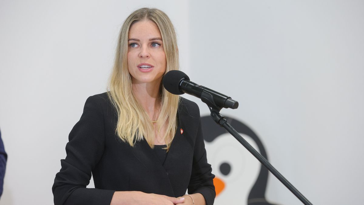 Warszawa, 21.08.2024. Wiceministra rodziny, pracy i polityki społecznej Aleksandra Gajewska na konferencji prasowej w nowo wybudowanym żłobku na ul. Ceramicznej w Warszawie, 21 bm. Tematem konferencji był warszawski program żłobkowy oraz zapowiedź rządowego programu Aktywny Rodzic. (ad) PAP/Rafał Guz