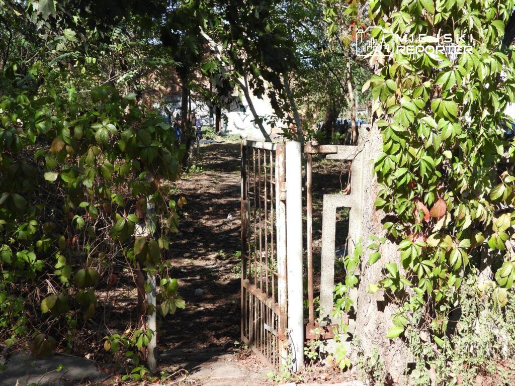 Zardzewiała brama otwarta na wąską ścieżkę w otoczeniu roślinności, prowadząca w głąb terenu.