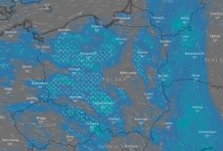 Pogoda. IMGW ostrzega przed burzami z gradem