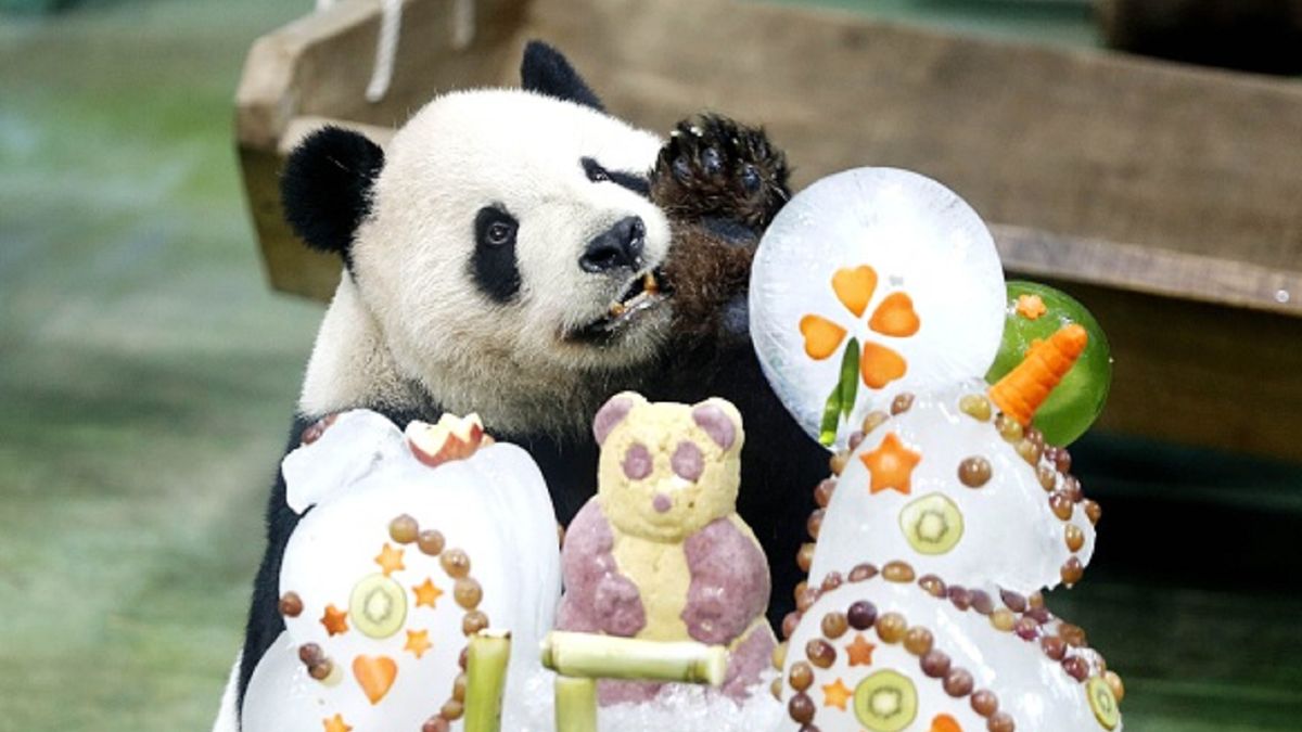 Panda była symbolem poprawy relacji między Tajwanem a Chinami.