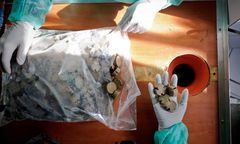 Ostrzeżenie RCB. "Nie dotykaj kapsułki"