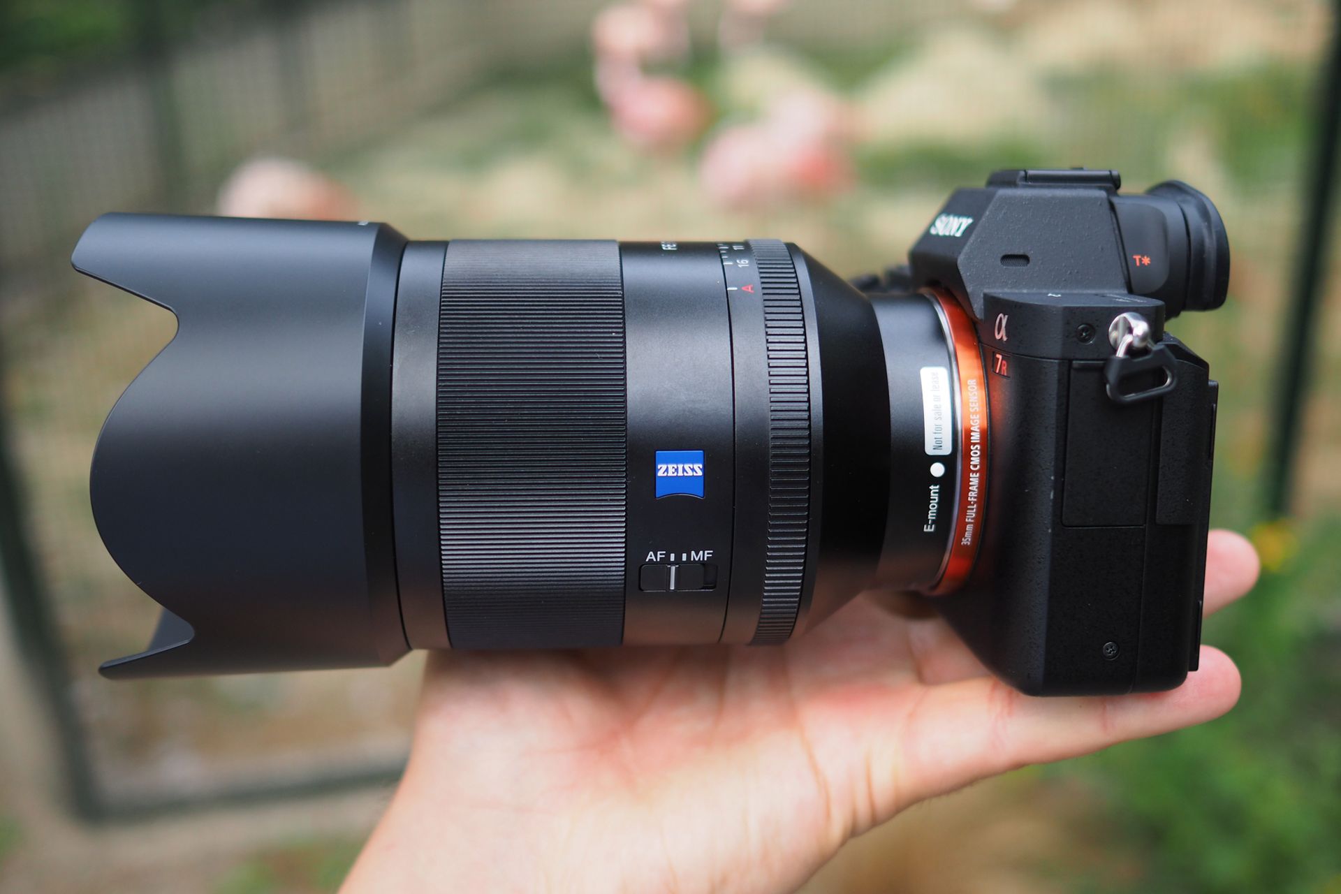 Zeiss Planar T* FE 50 mm f/1.4 ZA - nasze przykładowe zdjęcia 4