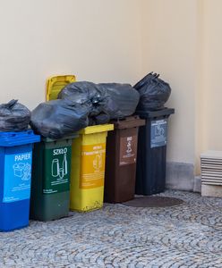 Straszono karami za brak segregacji. Oto co dzieje się z tekstyliami