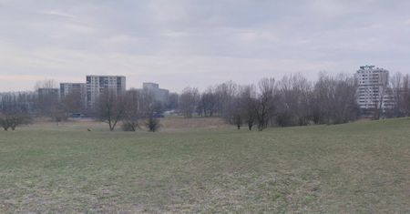 Warszawa. Psia Górka Na Skraju ostoją dzikiej przyrody. Na Ursynowie nie chcą parku Wynalazców