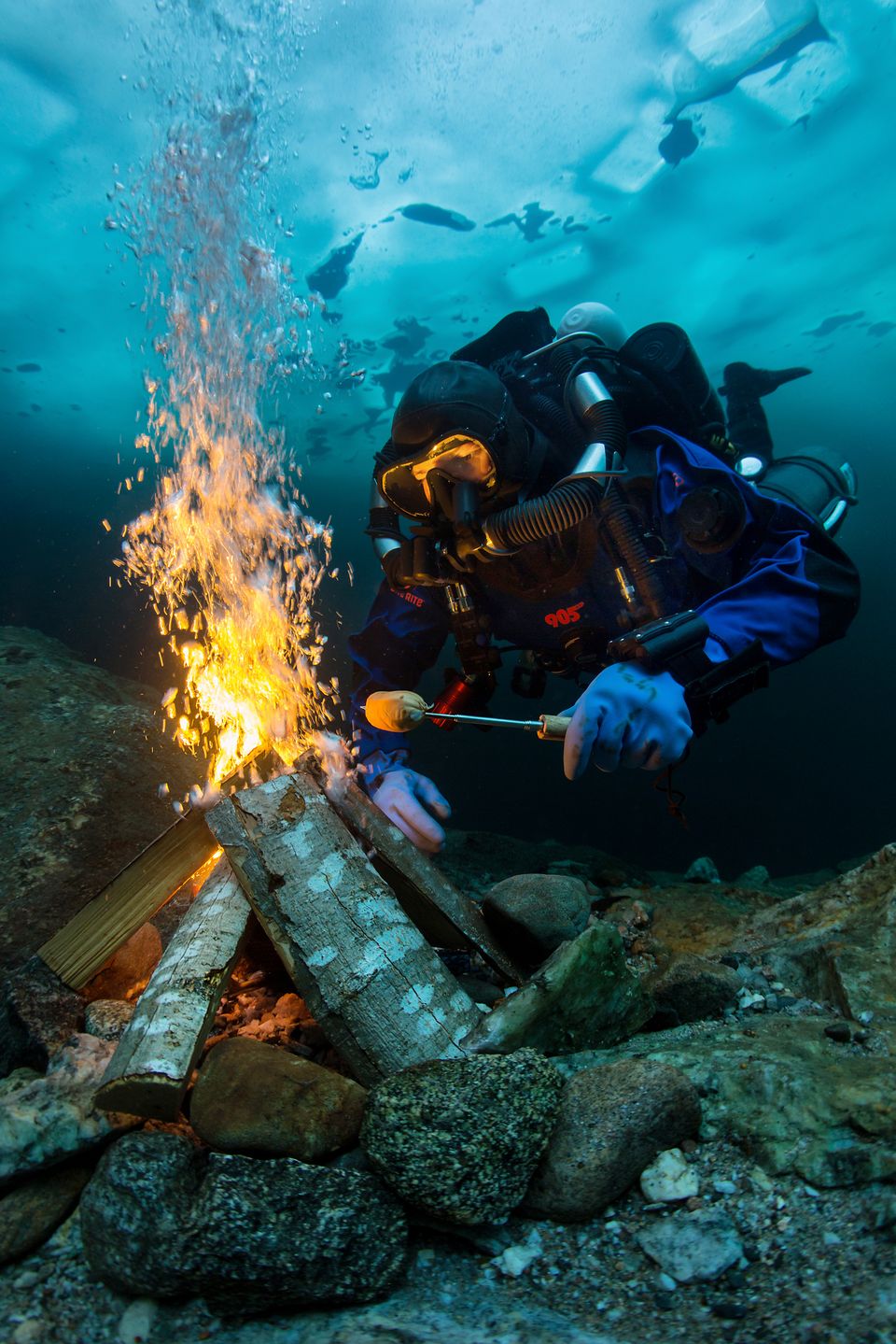 Underwater Photographer of the Year 2018 - niesamowity podwodny świat na wyciągnięcie ręki 10