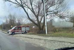 Zwłoki kobiety w rowie. Niedawno zaginęła